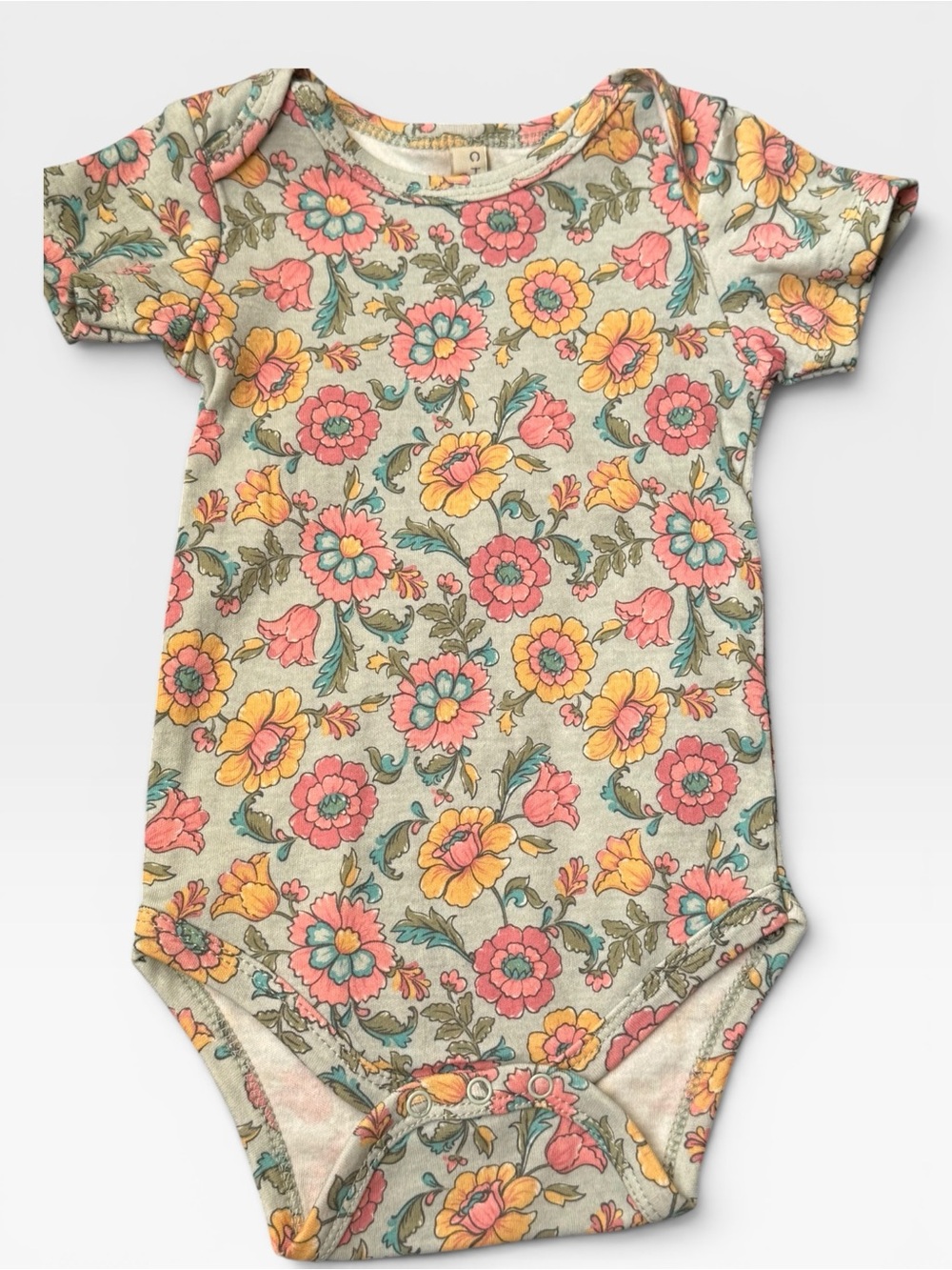 +NWT Chickpea Organic Baby Girl Retro Floral 2-Pack Bodysuit Bundle Set 6-9M - Picture 6 of 9